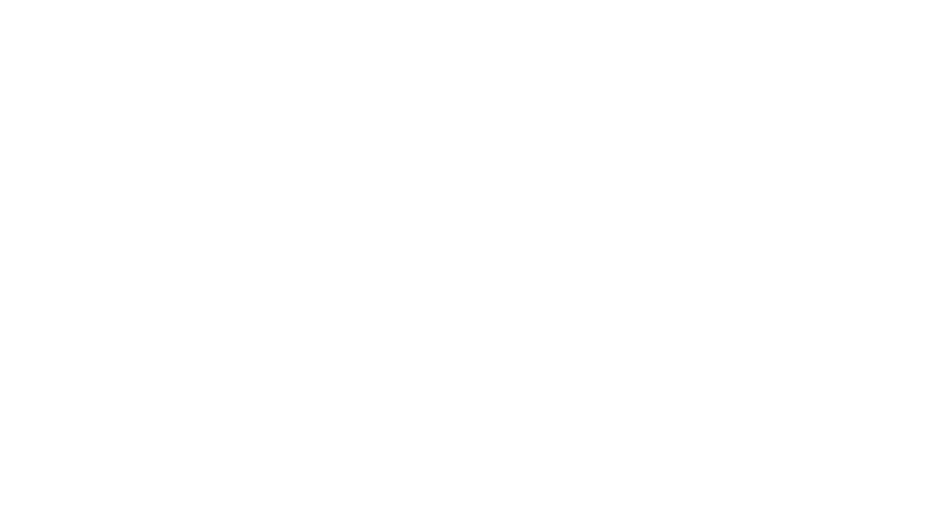 Pegasus Worldwide